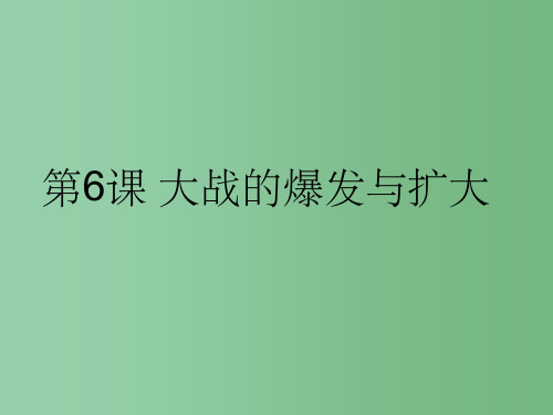 九年级历史下册 第6课 大战的爆发与扩大 岳麓版
