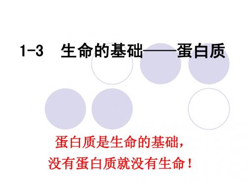 高中化学选修1-1-3蛋白质