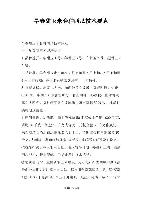 早春甜玉米套种西瓜技术要点