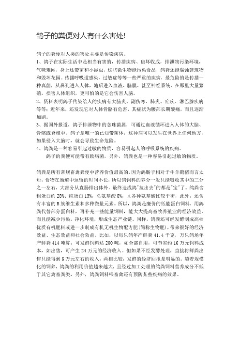 鸽子的粪便对人有什么害处