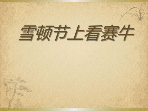 《雪顿节上看赛牛》精品 课件 