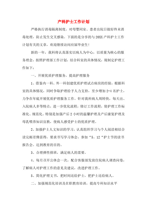 2020年产科护士工作计划