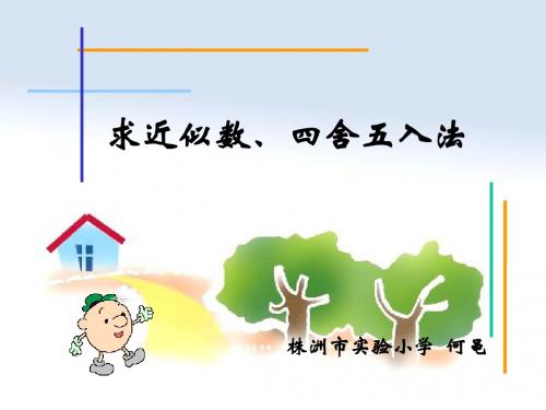 求近似数