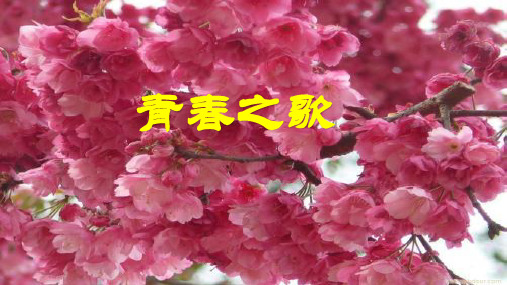 青春之歌(18张ppt)