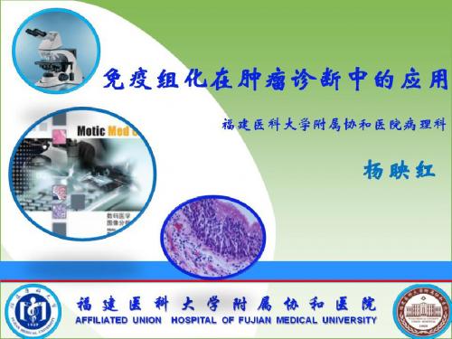 杨映红免疫组化在肿瘤诊断中的应用101201