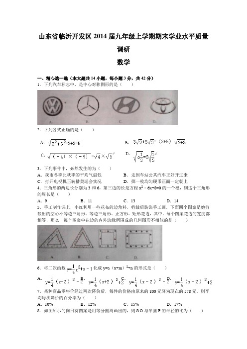 山东省临沂开发区2014届九年级上学期期末学业水平质量调研数学试题(WORD版)