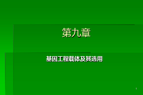 λ噬菌体载体的类型