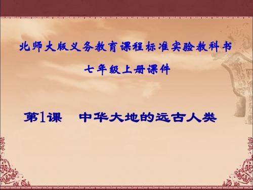中华大地的远古人类ppt7 北师大版