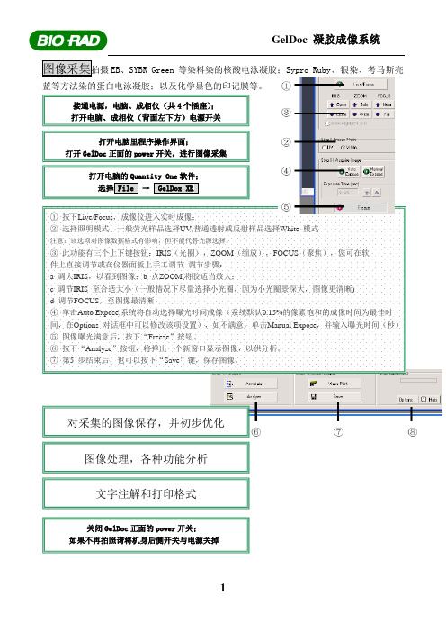 Gel Doc凝胶成像仪使用简易流程