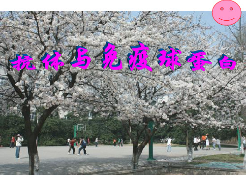(免疫学教学课件)抗体与免疫球蛋白