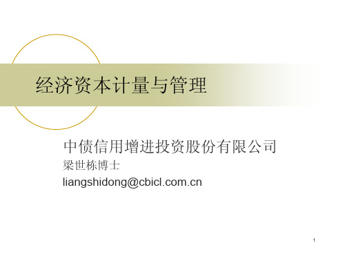经济资本计量与管理
