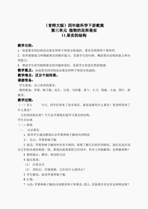 首师大小学科学四下《11.果实的结构》word教案(1)