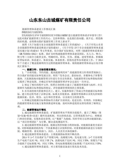 煤矿管理-能源管理情况汇报