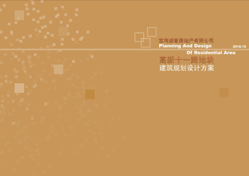 宝鸡高新十一路地块建筑规划设计方案(41页PPT课件
