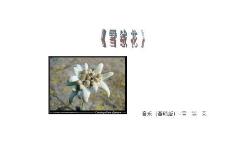 幼儿园音乐--雪绒花