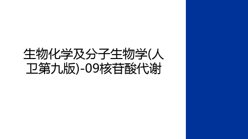 最新生物化学及分子生物学(人卫第九版)-09核苷酸代谢讲解学习