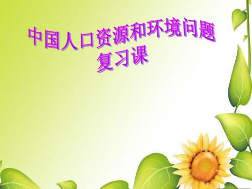九年级政治中考中国人口资源和环境问题课件教科版
