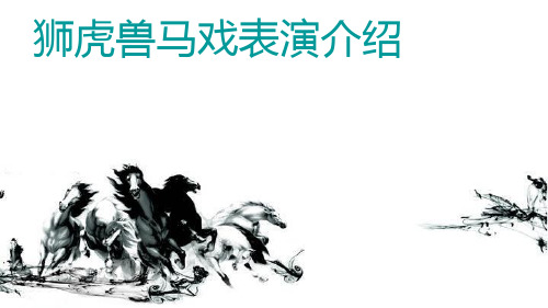 马戏团节目表演