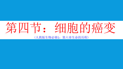 6-4-细胞的癌变