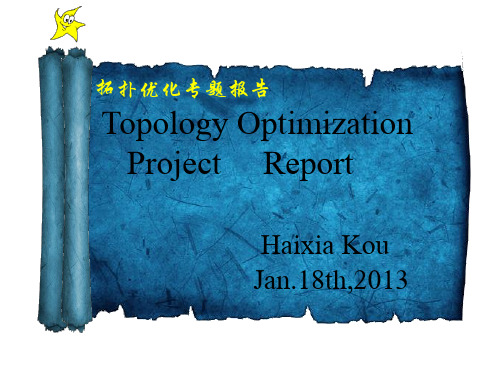 Topology Optimzation