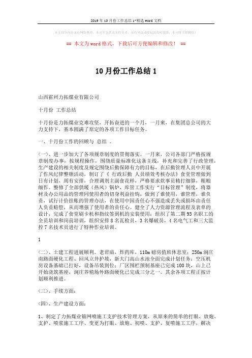 2019年10月份工作总结1-精选word文档 (4页)