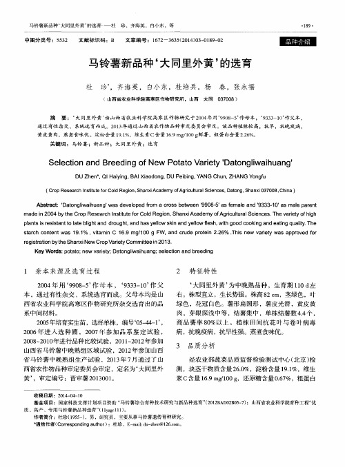 马铃薯新品种‘大同里外黄’的选育