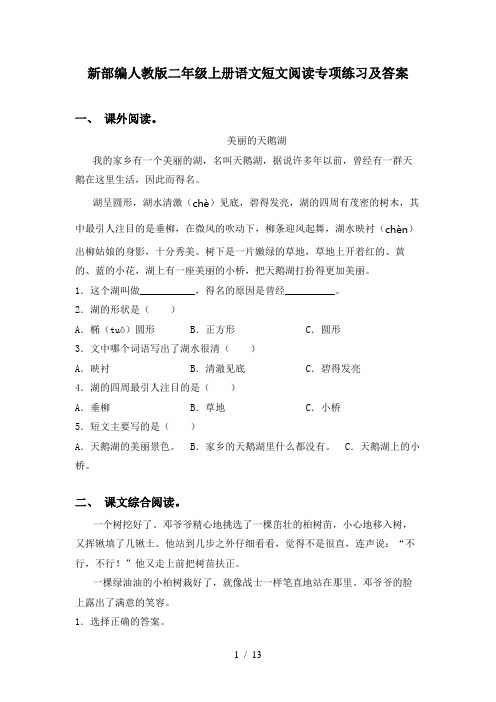 新部编人教版二年级上册语文短文阅读专项练习及答案