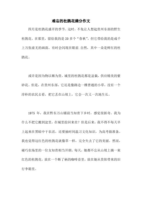 难忘的杜鹃花满分作文