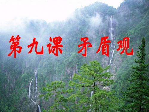 矛盾观