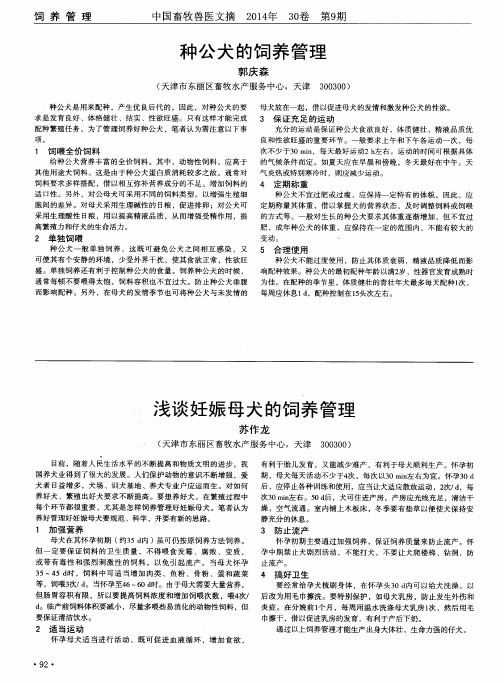 浅谈妊娠母犬的饲养管理