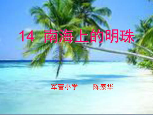南海上的明珠PPT精品课件