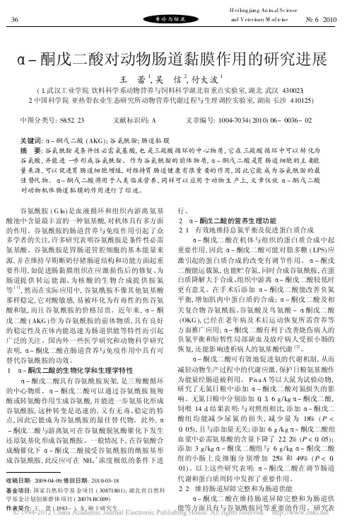 酮戊二酸对动物肠道黏膜作用的研究进展