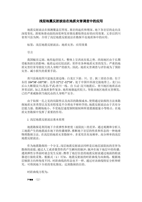 浅层地震反射波法在地质灾害调查中的应用
