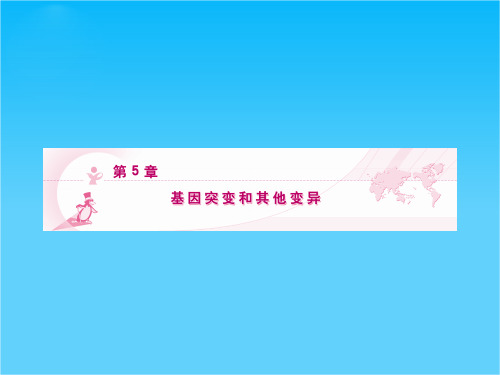 高考生物第一轮复习 第1节 基因突变和基因重组精品课件 新人教版必修2