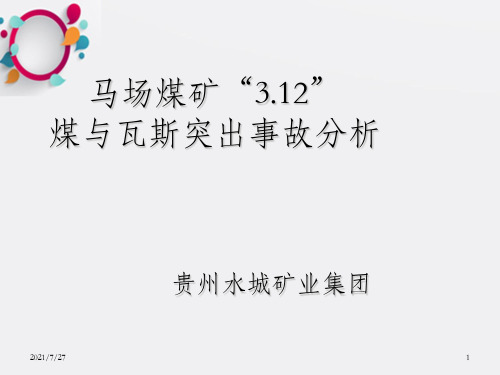 贵州水城矿业集团马场煤矿“3.12”煤与瓦斯突出事故分析(定)详解