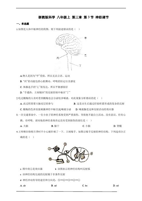 浙教版科学 八年级上 第三章 第3节 神经调节