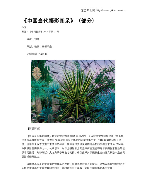 《中国当代摄影图录》(部分)