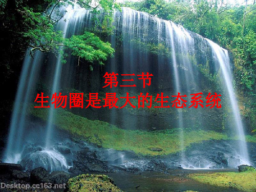 第三节_生物圈是最大的生态系统