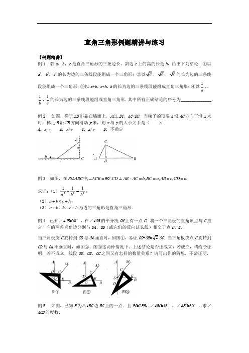 沪教版(上海)八年级第一学期  直角三角形例题精讲与练习