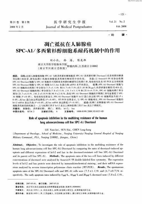 凋亡抵抗在人肺腺癌SPC-A1／多西紫杉醇细胞系耐药机制中的作用