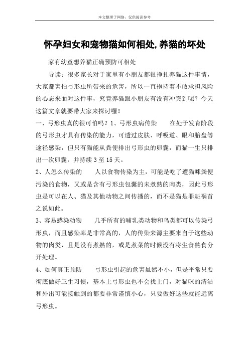 怀孕妇女和宠物猫如何相处,养猫的坏处