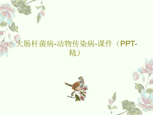 大肠杆菌病-动物传染病-课件(PPT-精)43页文档