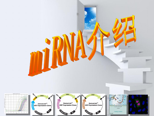 miRNA