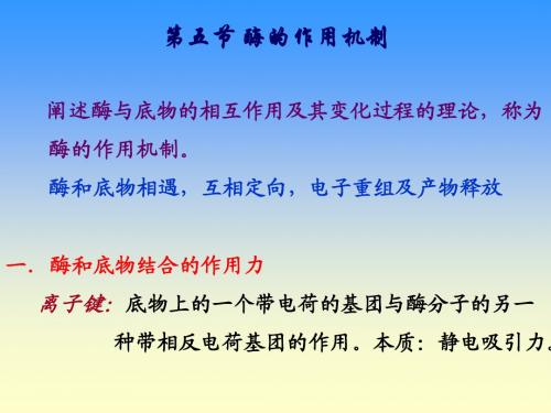 酶学概论2