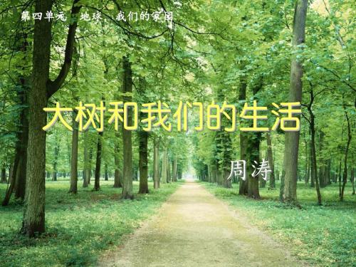 大树和我们的生活