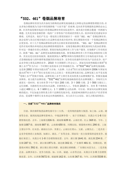 532战略的意义