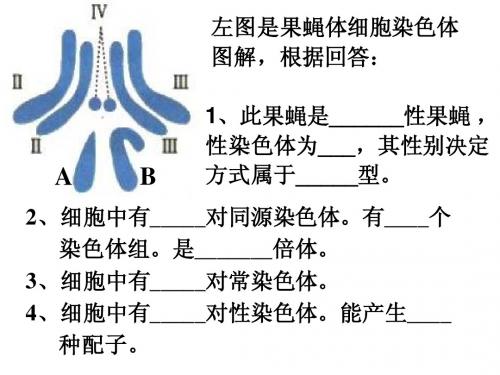 复习-育种方法高三总复习