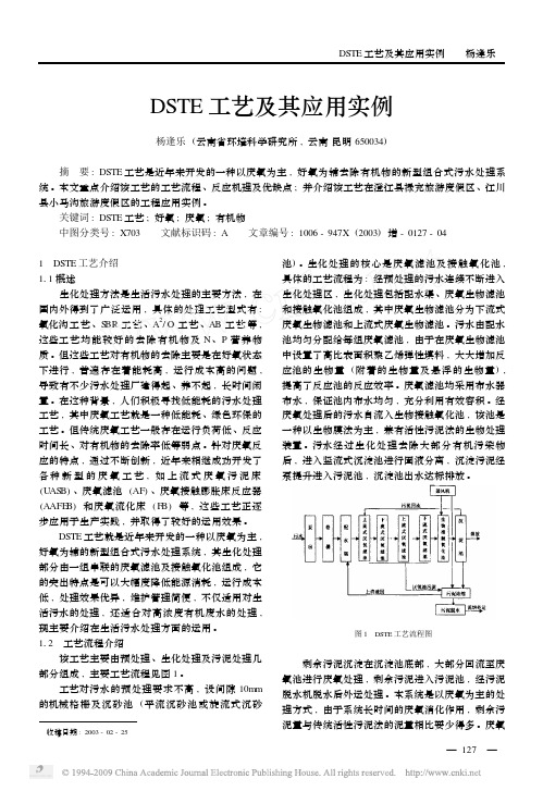 DSTE工艺及其应用实例