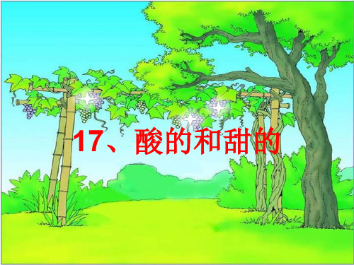 人教版小学二年级下册语文：17 酸的和甜的(2)