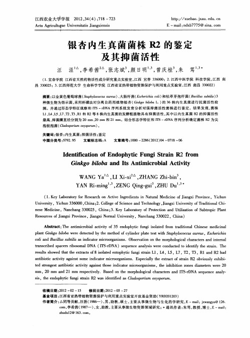 银杏内生真菌菌株R2的鉴定及其抑菌活性